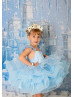 Light Blue Organza Frozen Lace Up Back Flower Girl Dress